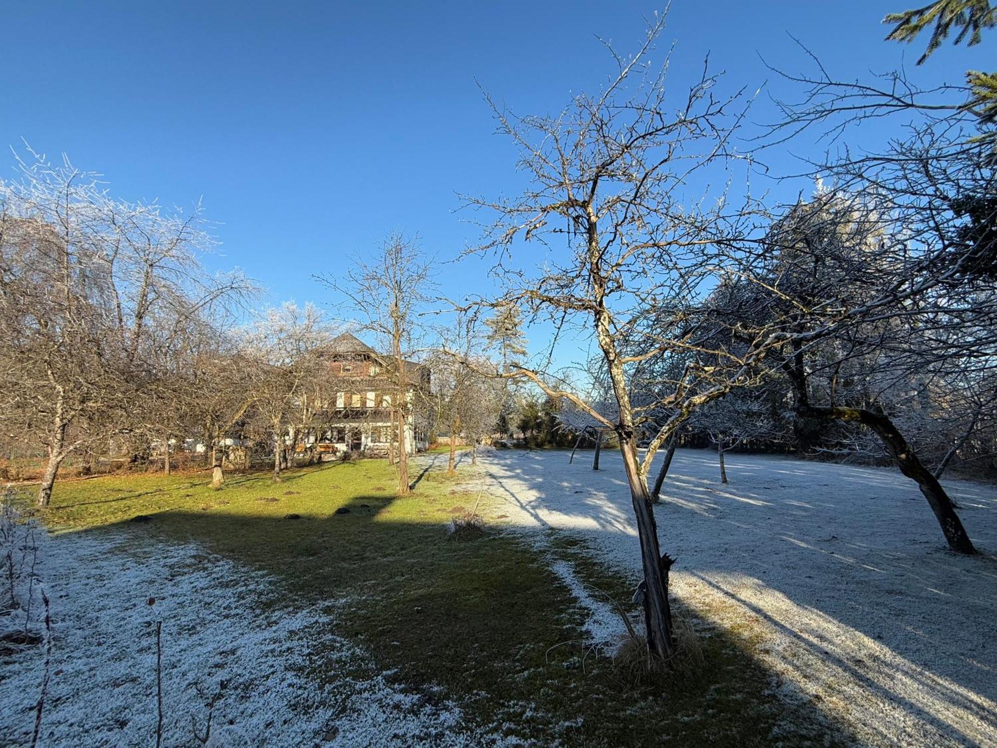 Esterer Grodig Exterior photo